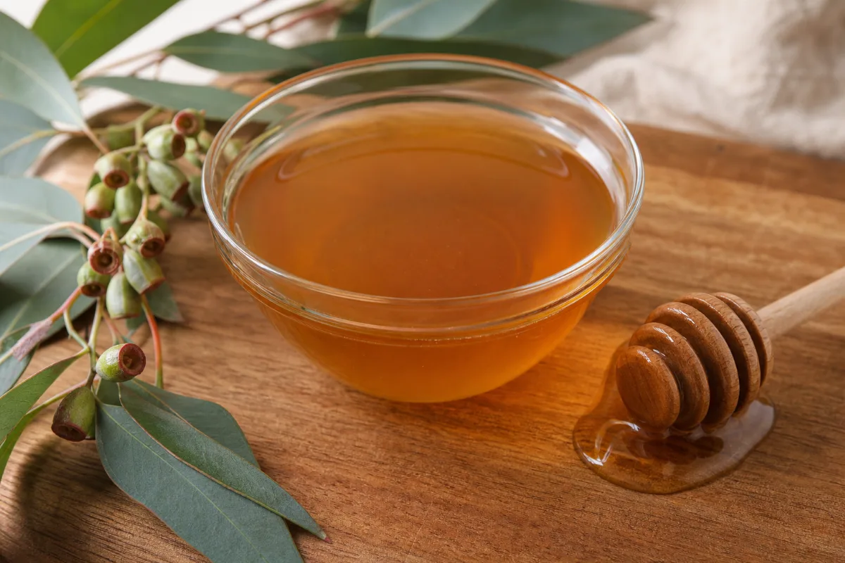 Close-up of eucalyptus honey
