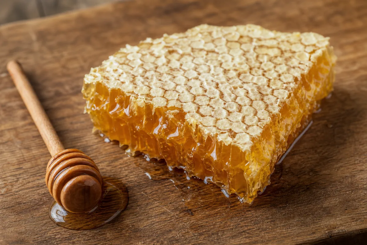 Close-up of honeycomb
