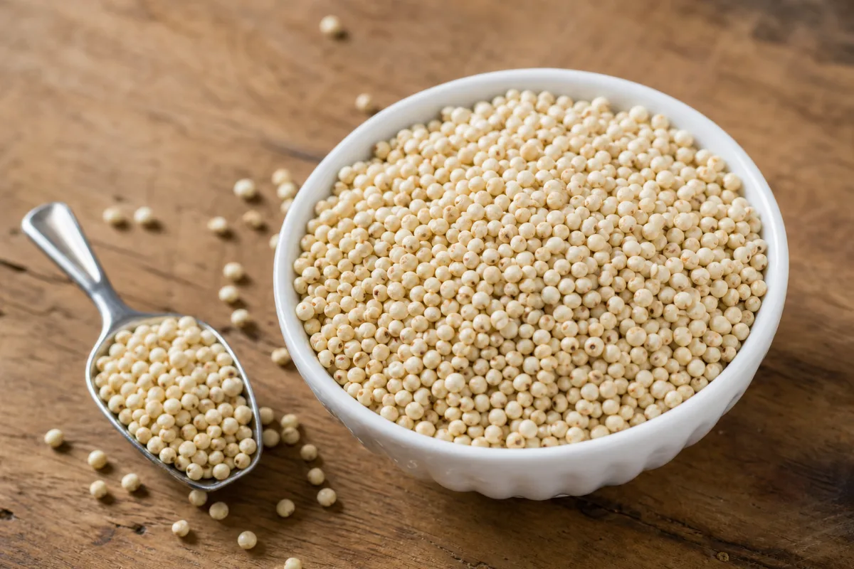Close-up of sorghum