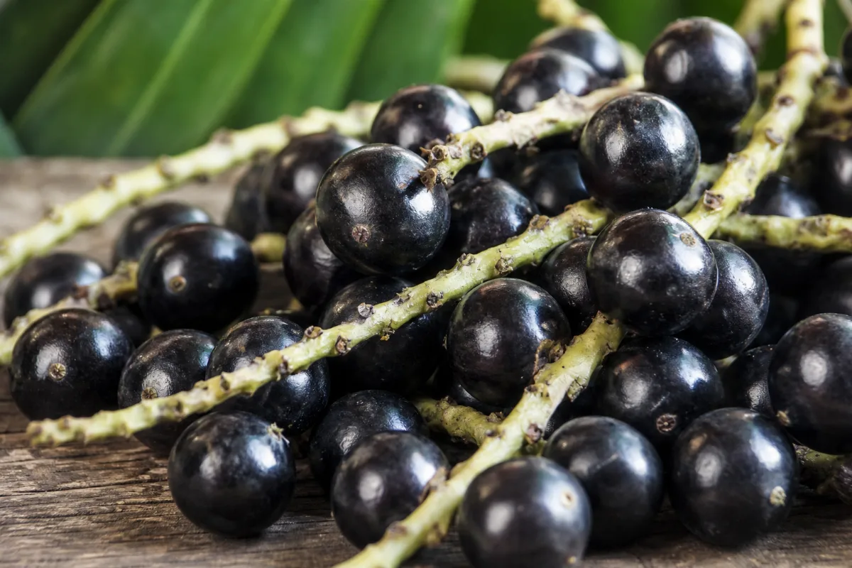Close-up of acai