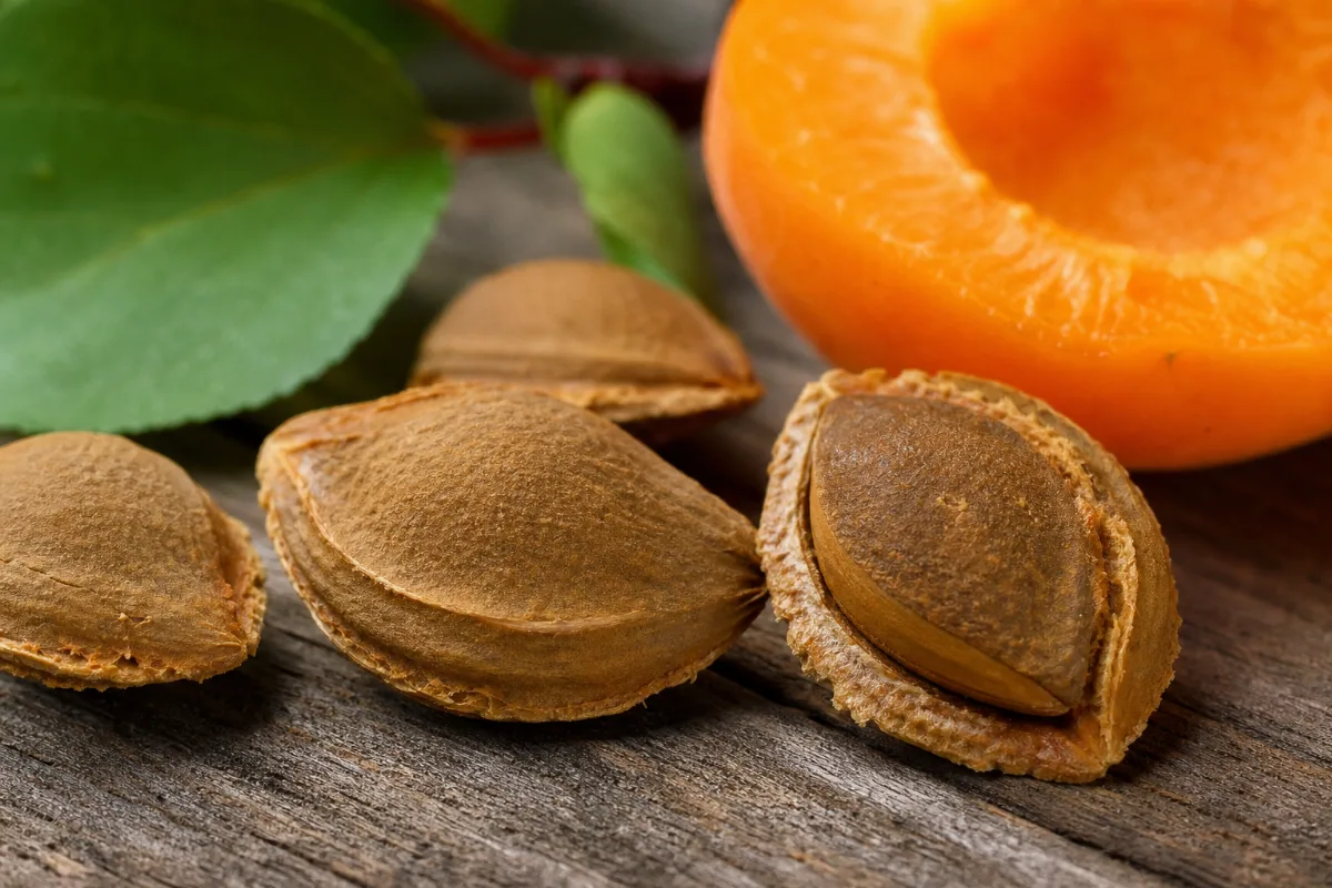 Apricot kernels inside cracked apricot stones beside a bowl of golden apricot kernel oil
