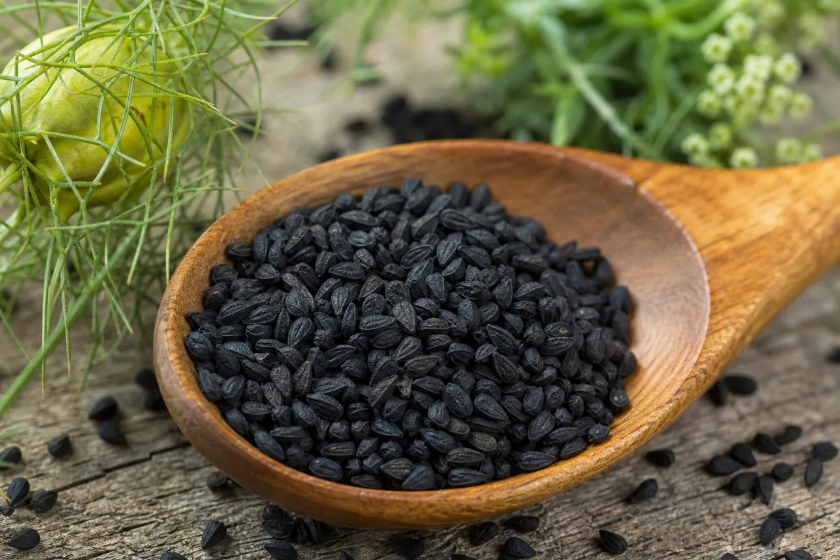 Close-up of black seed (nigella) (nigella sativa): uses, evidence and safety