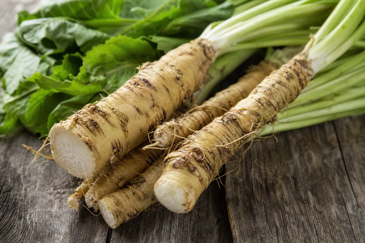 Close-up of horseradish