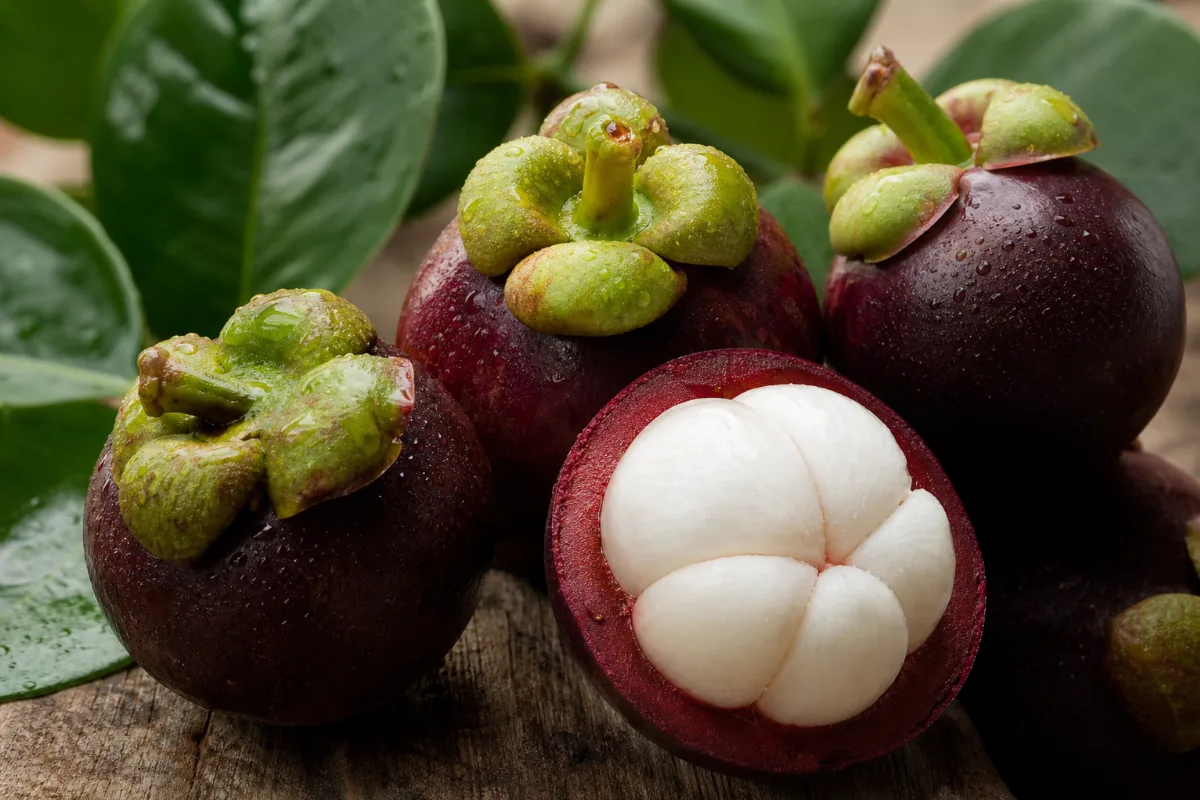 Close-up of kokum