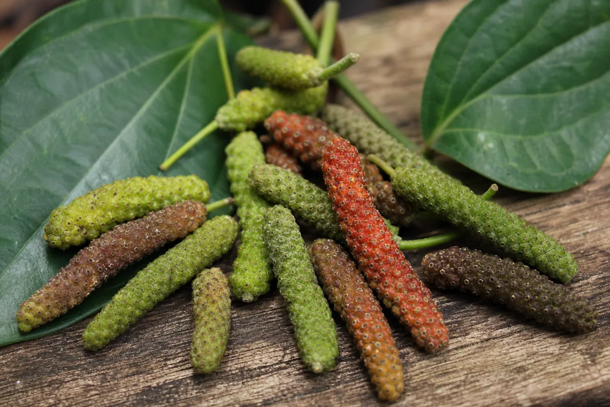 Close-up of long pepper
