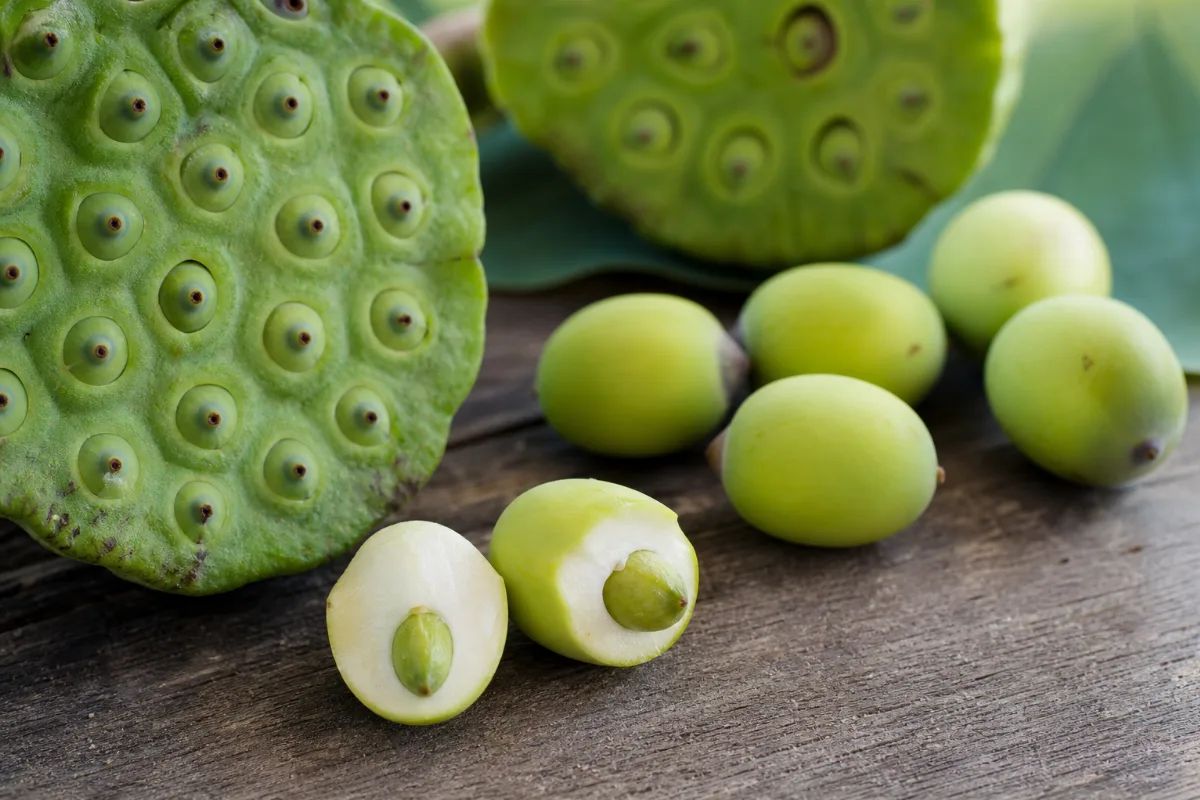 Close-up of lotus seed (lian zi)