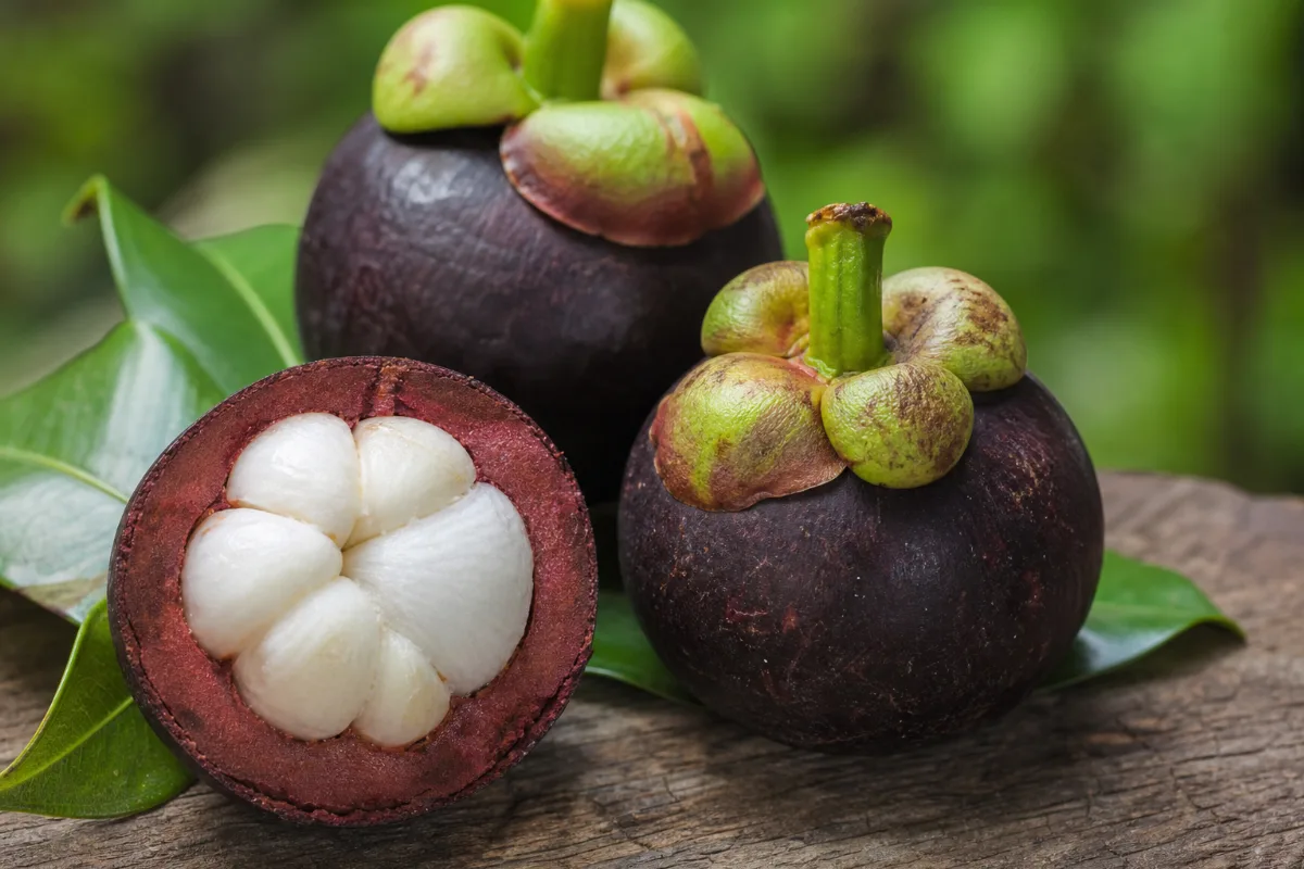Close-up of mangosteen