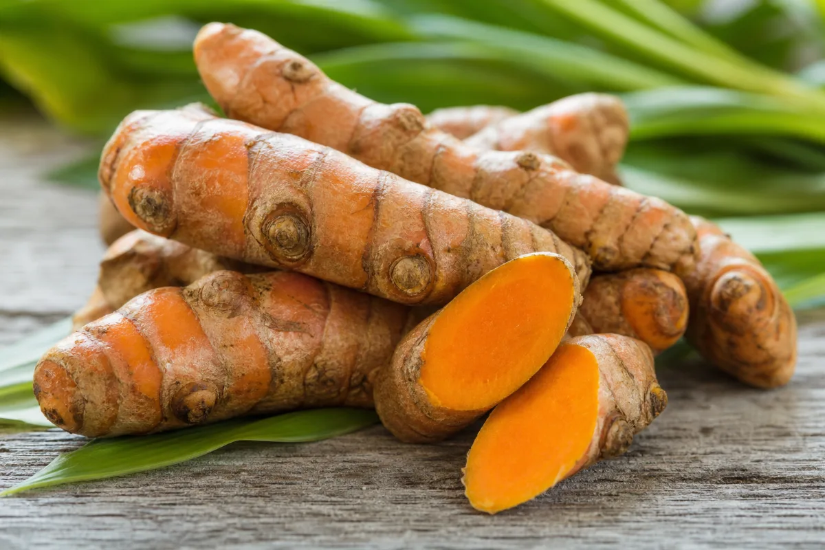 Close-up of turmeric