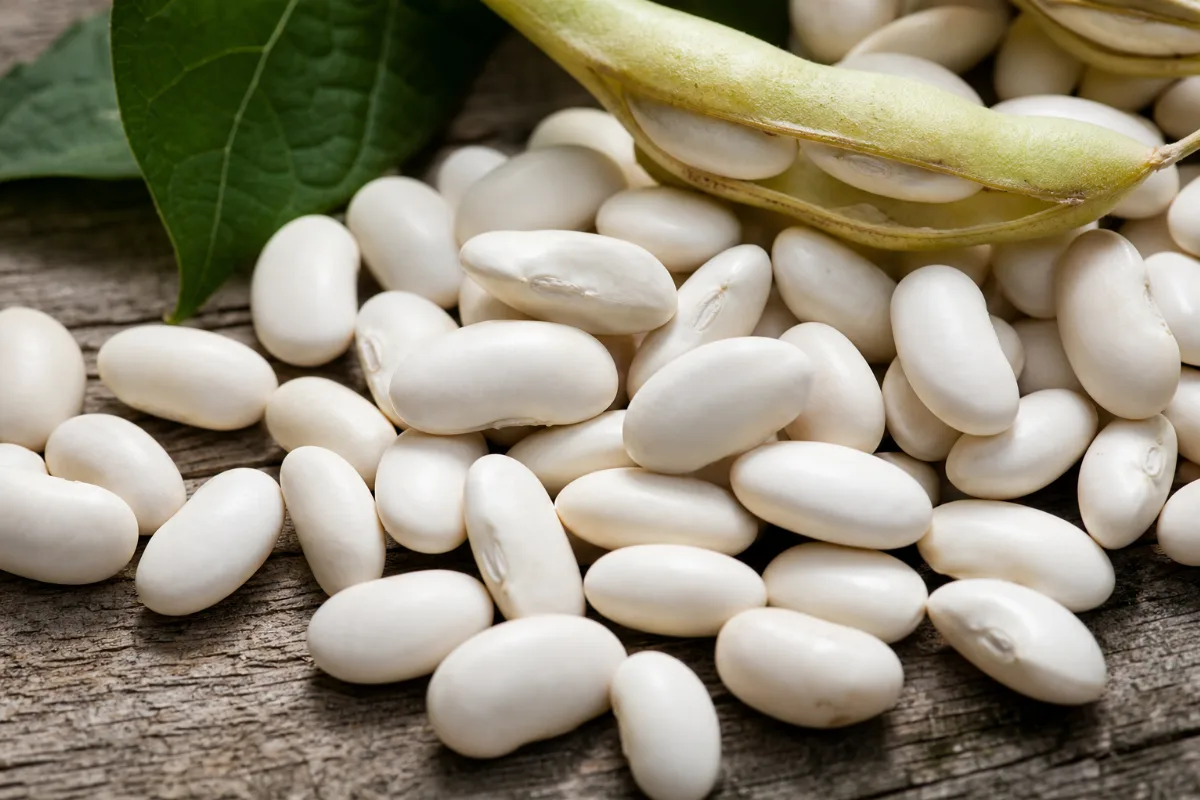 Close-up of white kidney bean extract