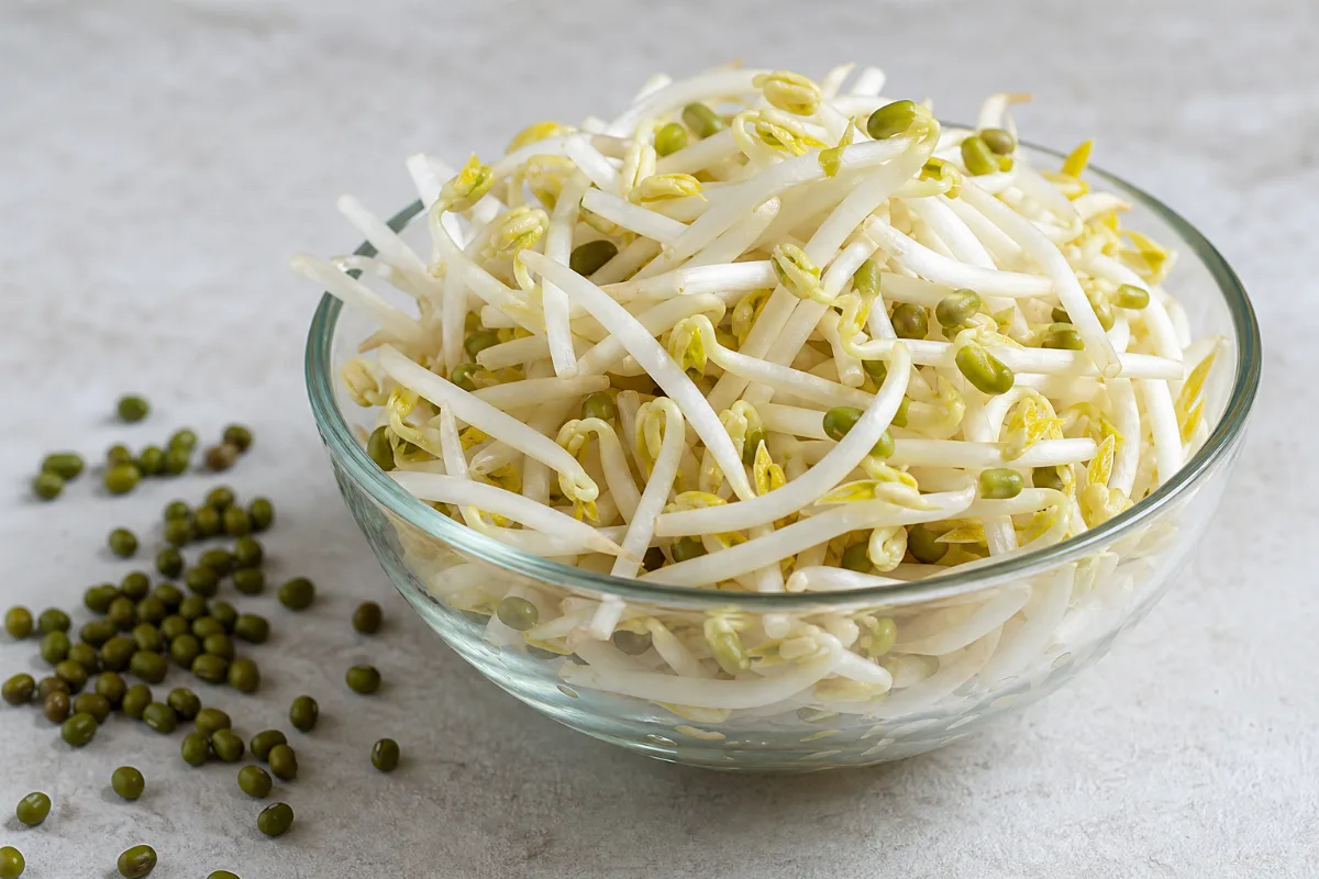 Close-up of bean sprouts (mung & lentil sprouts)
