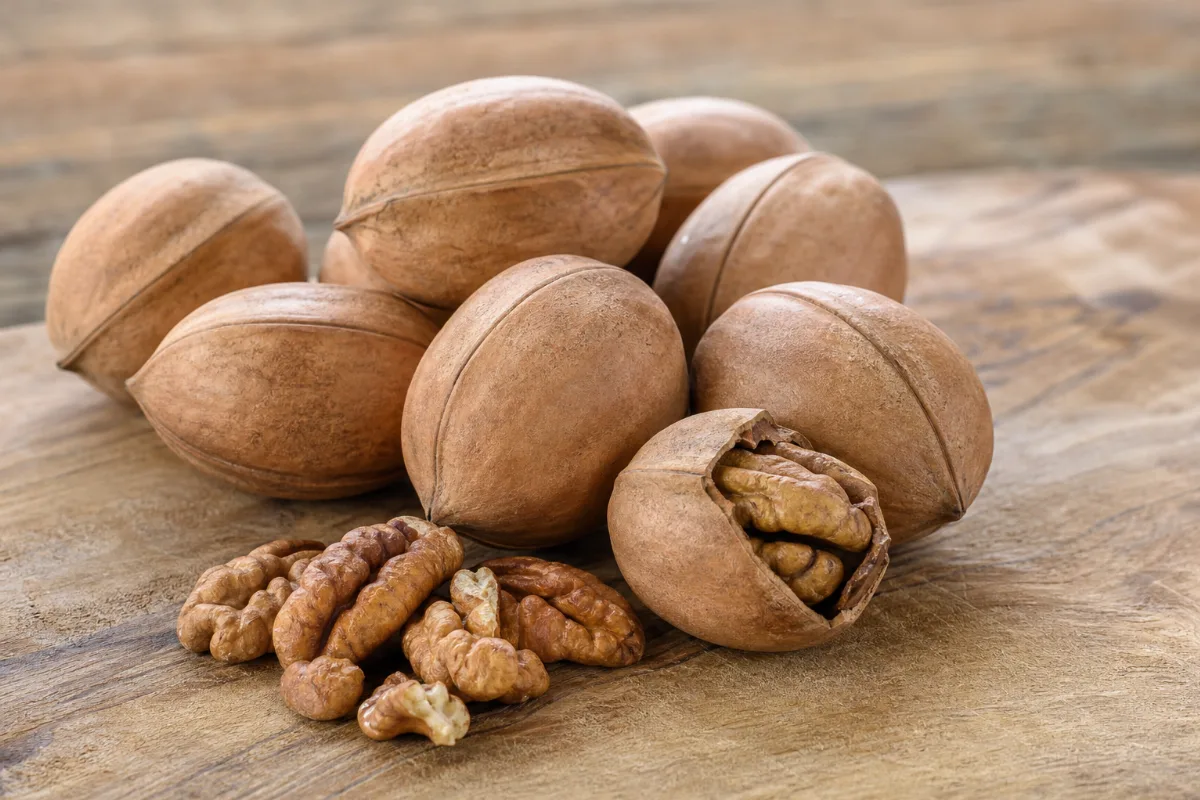 Close-up of hickory nuts