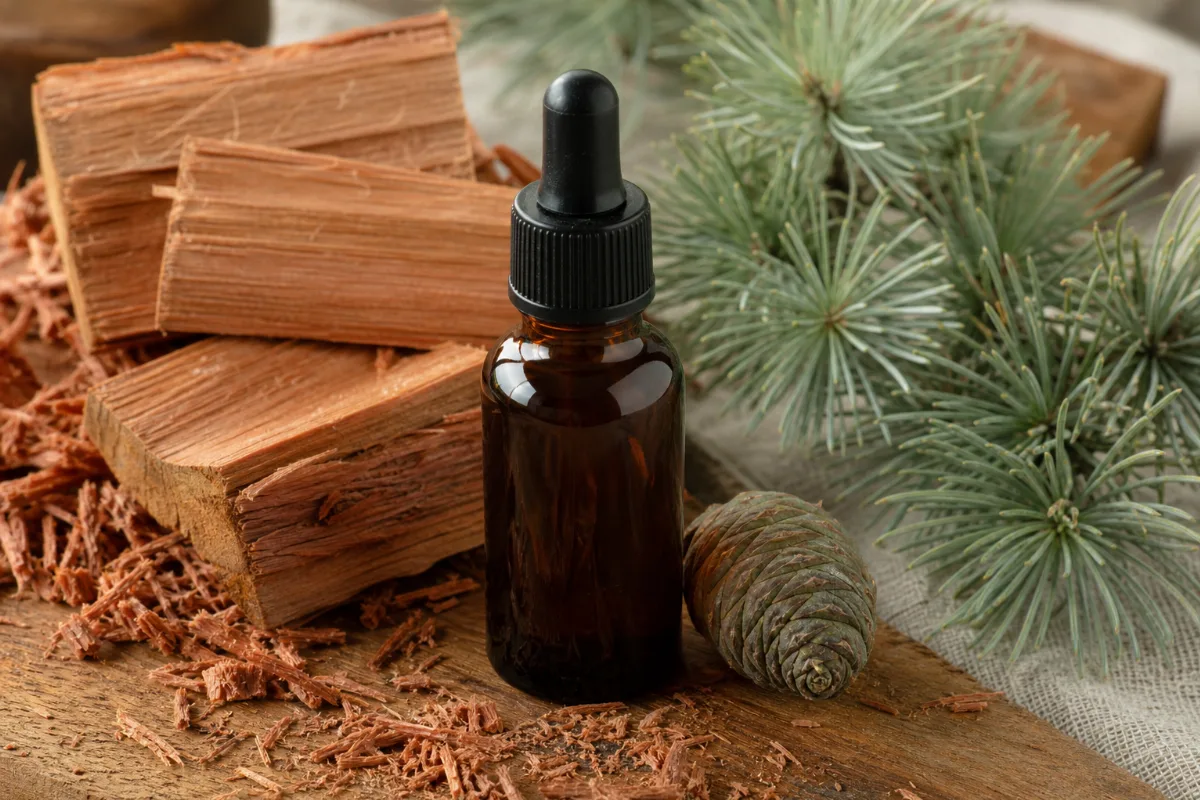 Close-up of cedarwood oil