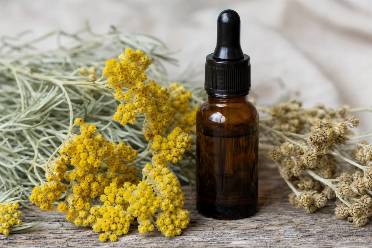 Close-up of helichrysum oil: evidence, safety and how it is used