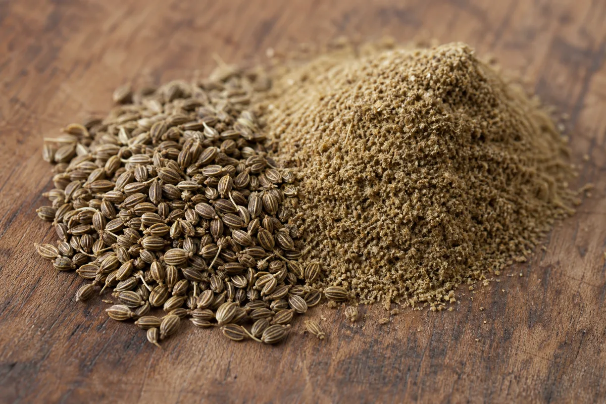 Close-up of celery seed