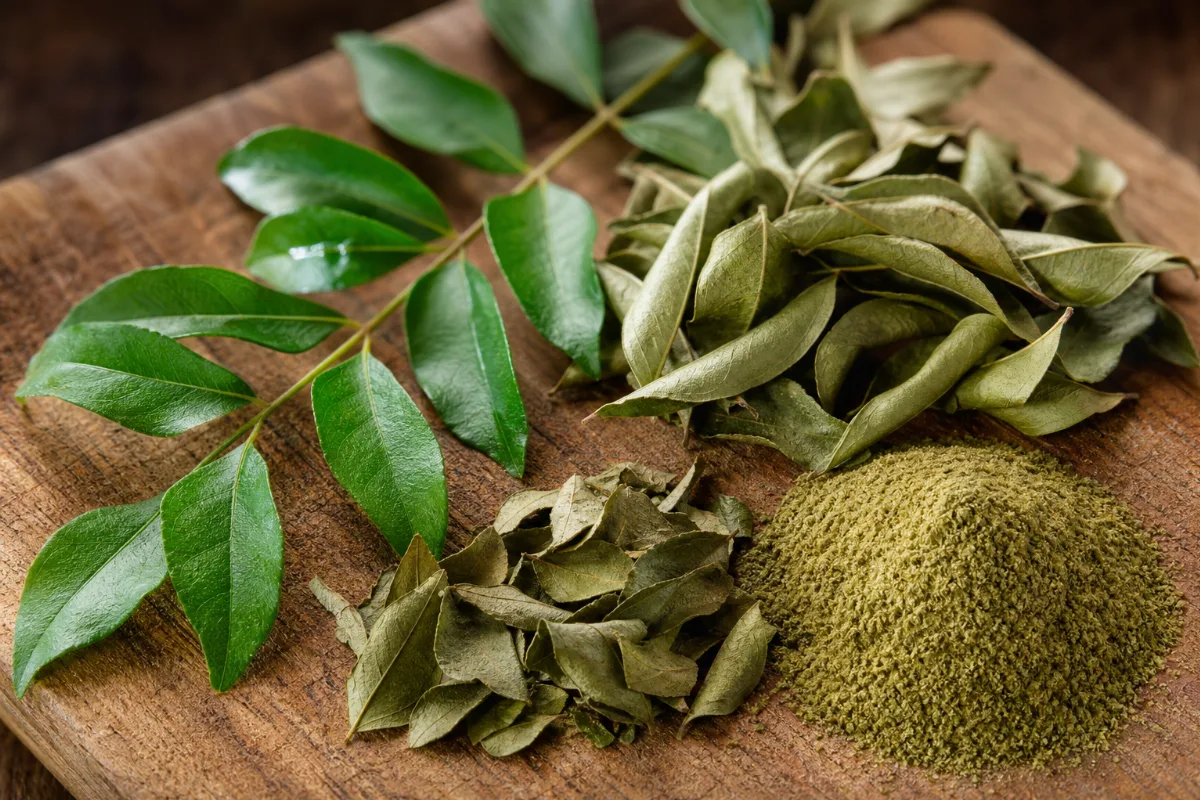 Close-up of curry leaf