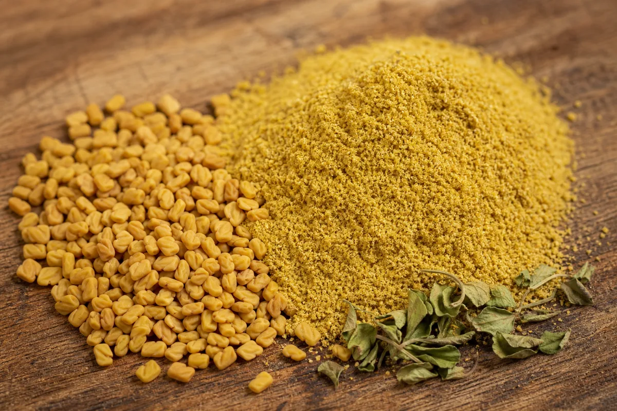 Close-up of fenugreek