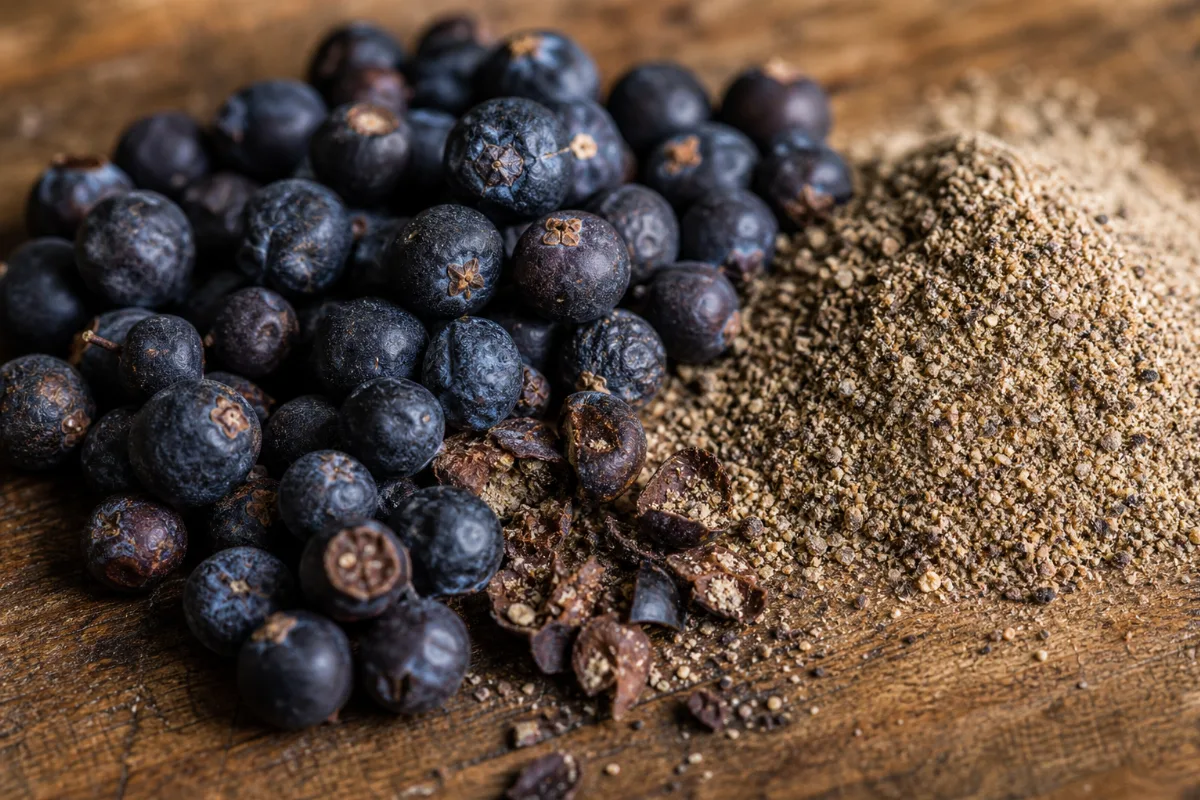 Close-up of juniper berry