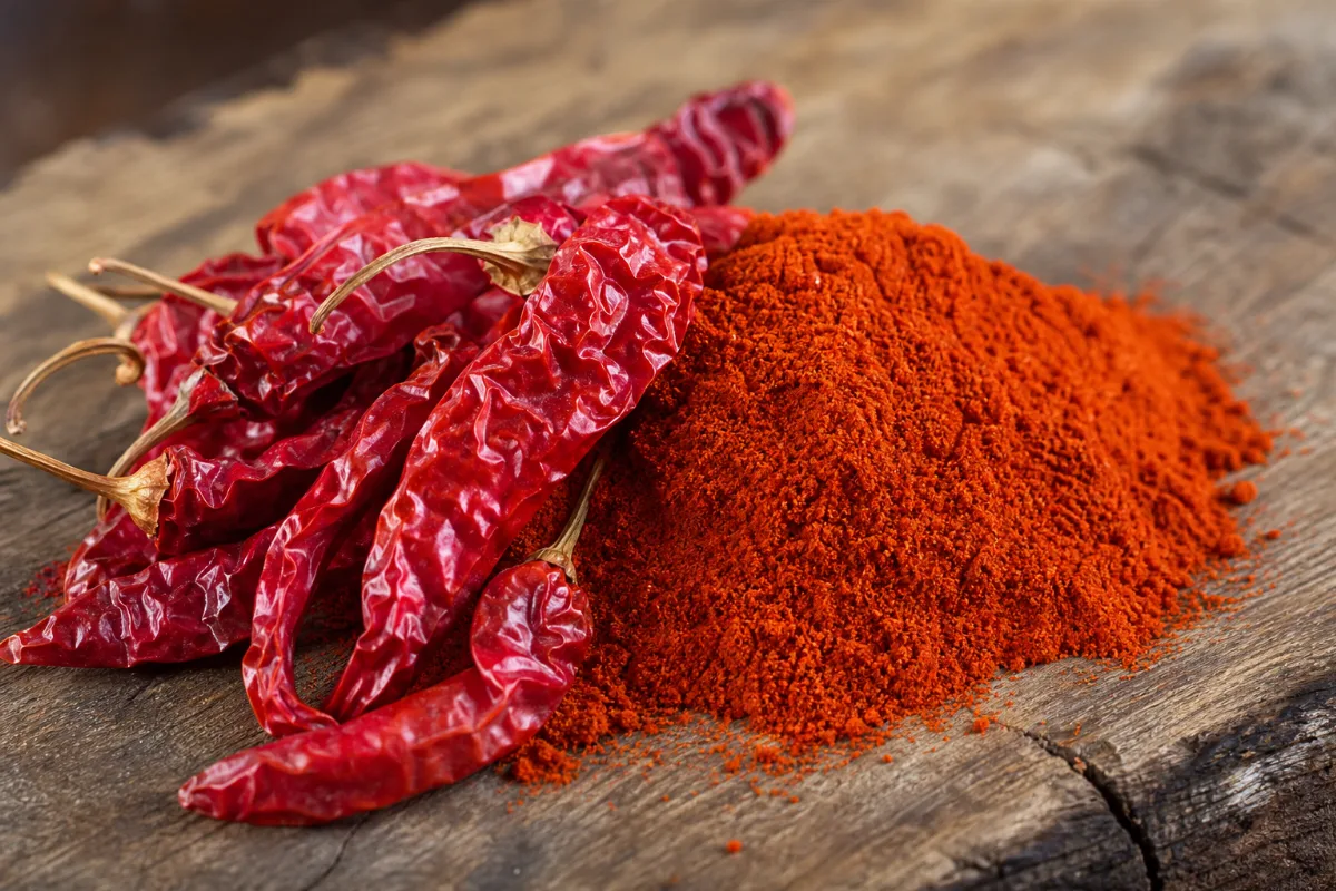 Close-up of kashmiri chili
