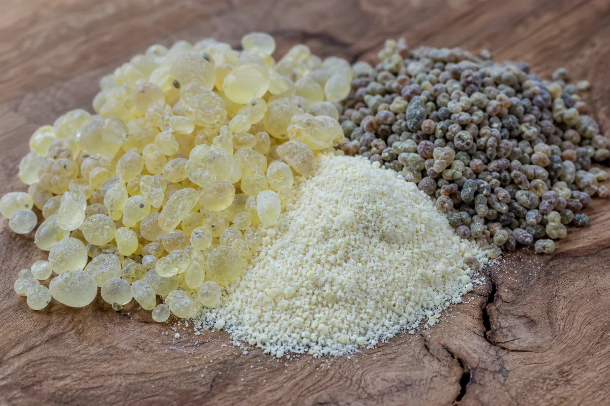 Close-up of mastic (mastiha)
