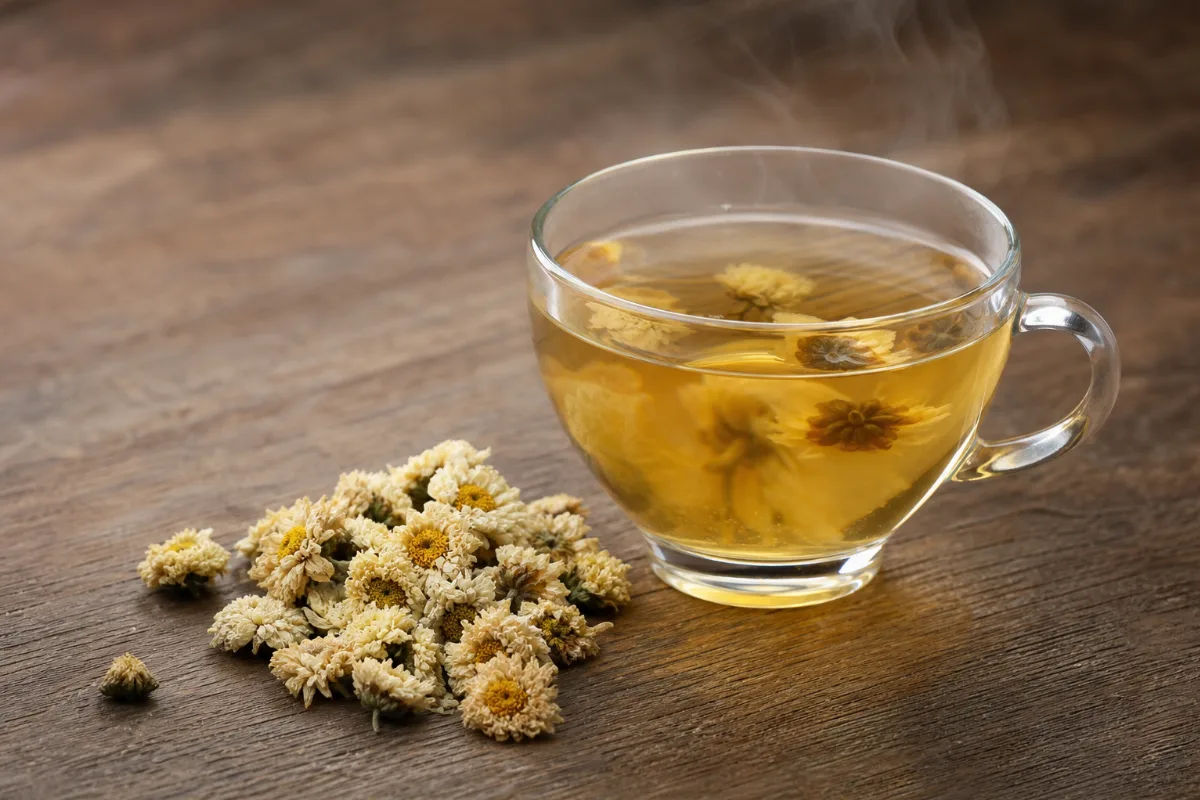 A glass cup of chrysanthemum tea beside dried chrysanthemum flower heads on a wooden table
