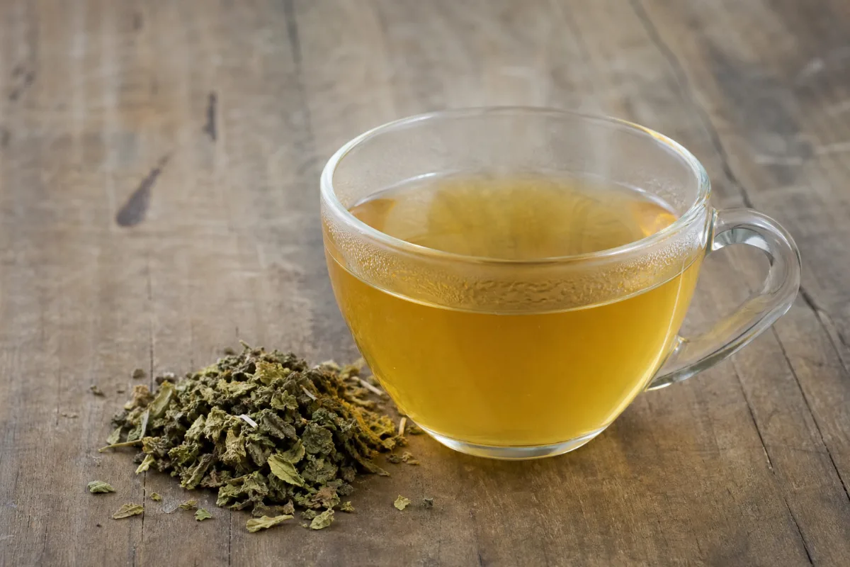 A cup of damiana tea beside a pile of dried damiana leaves