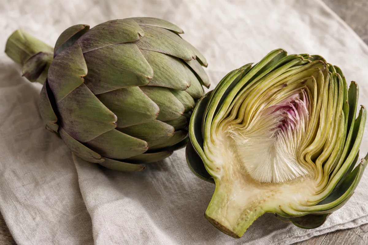Close-up of globe artichokes