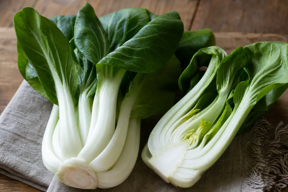Close-up of bok choy