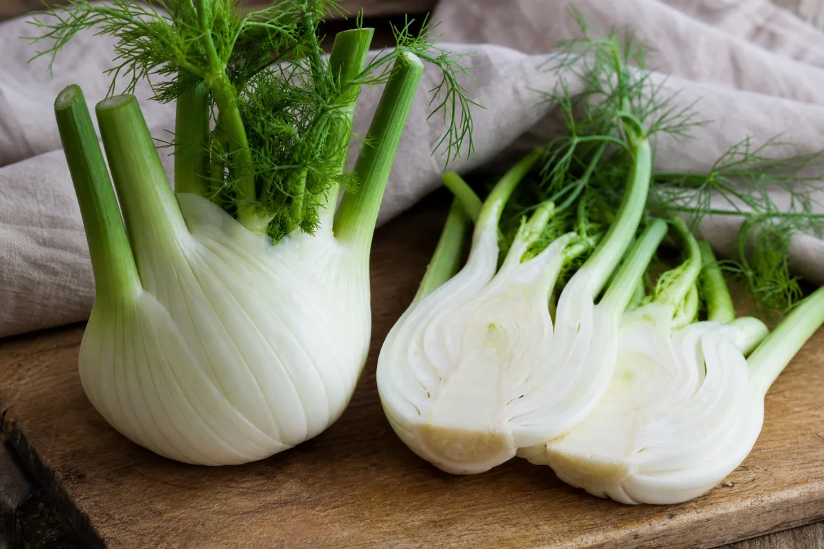 Close-up of fennel bulb