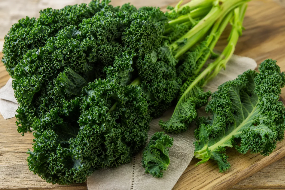Close-up of kale